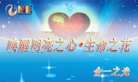 《生命之花.工作坊》